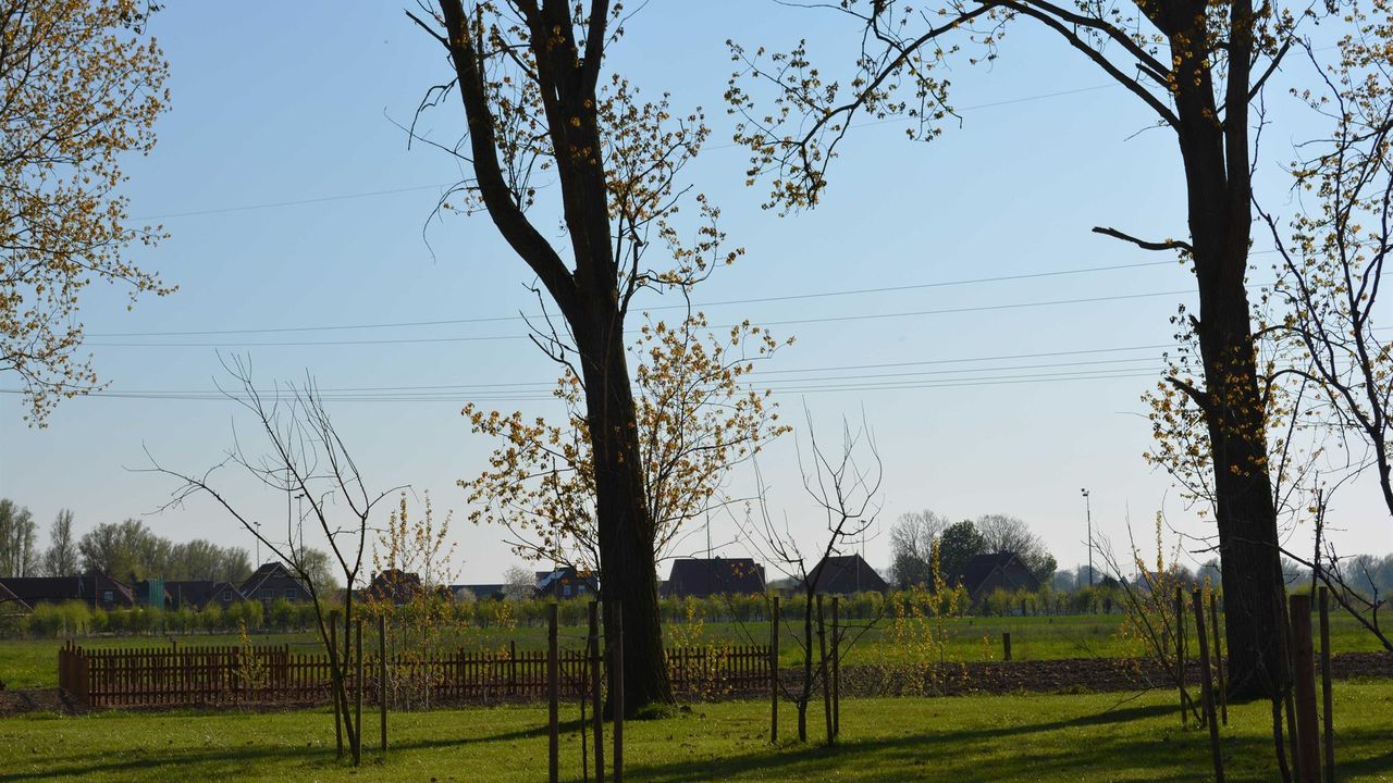 Blcik in den Garten Blcik in den Garten